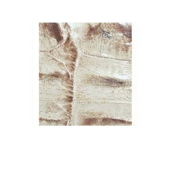 PAGES 60-76 CEINTURES/ACCCEI40740-ACCCEI40740BEI.PNG