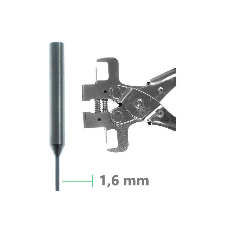 PAGES 161-171 PORTES CLES/COQPOI16.PNG