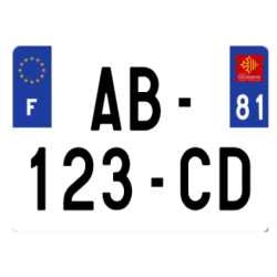 PAGES 172-178 CLES PILES CADENAS CYLINDRES VERROU MACHINES A CLES PLAQUES AUTO/PLAAUTCARSIV-PLAAUTCARSIV81.PNG