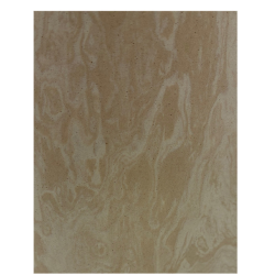 PAGES 188-199 PODO ORTHESIE/PLAEXTAQU-PLAEXTAQU2;BEM.PNG