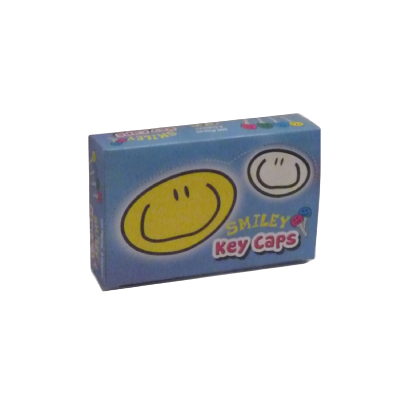 PAGES 161-171 PORTES CLES/QUICAPSMI.png