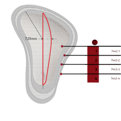 SUPPORT LATEX - 74504 7443 LA PAIRE