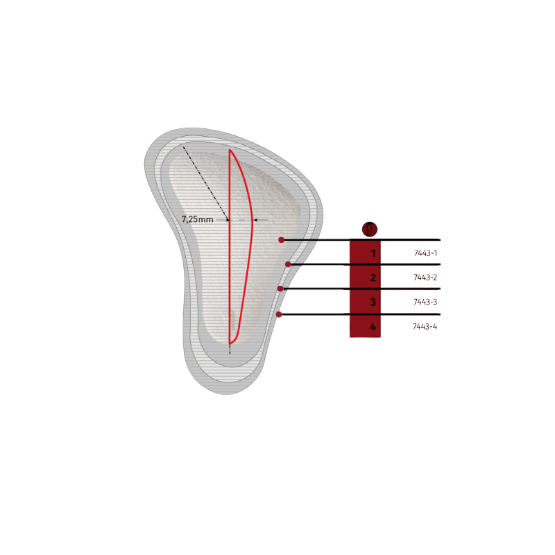 PAGES 188-199 PODO ORTHESIE/SUPLAT74504.png