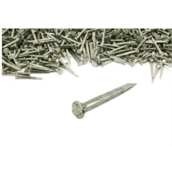 SEMENCE LION - LE KG