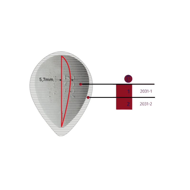 PAGES 188-199 PODO ORTHESIE/SUPPEL74533.PNG