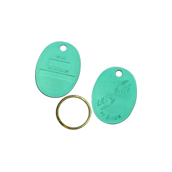 PORTE CLES OVALE VERT - AVK401042 UNITE