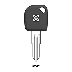 CLE TRANSP SANS PUCE AVEC BOUCHON CDWO6BTE-25