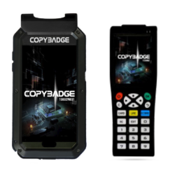 PAGES 14-15 CLECOR/COPY.PNG