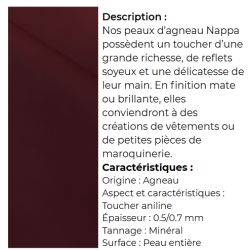 PAGES 101-107 CUIR TREPOINTES ABRASIFS PRODUITS/CUINAP-1.PNG