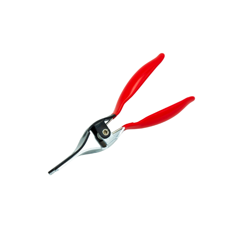 PAGES 161-171 PORTES CLES/PINOUV.PNG