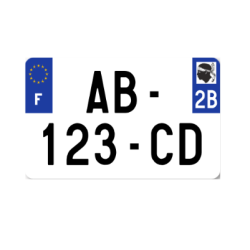 PAGES 172-178 CLES PILES CADENAS CYLINDRES VERROU MACHINES A CLES PLAQUES AUTO/PLAAUTMOTSIV-PLAAUTMOTSIV2B.PNG