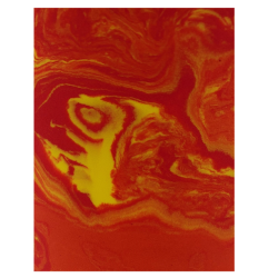 PAGES 188-199 PODO ORTHESIE/PLAEXTAQU-PLAEXTAQU2;ROM.PNG