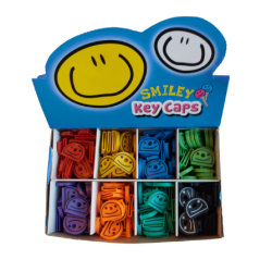 PAGES 161-171 PORTES CLES/QUICAPSMI-1.PNG