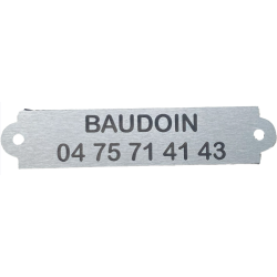 PLAQUE COLLIER CHIEN A RIVETER - 71 X 15 mm - NIKELE