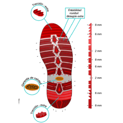 PAGES 16-43 ANDES/SEMARE-1.png