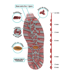 PAGES 16-43 ANDES/SEMPEG-1.png