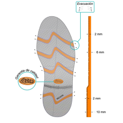 PAGES 16-43 ANDES/SEMVUL-1.PNG