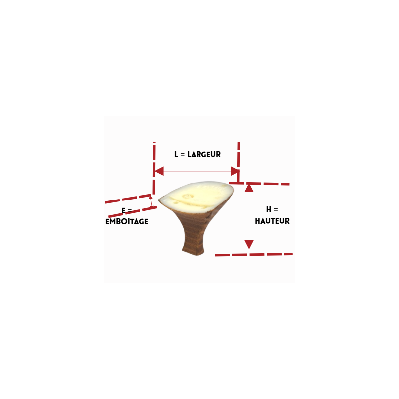 PAGES 122-126 TALONS/TAL451491-1.PNG