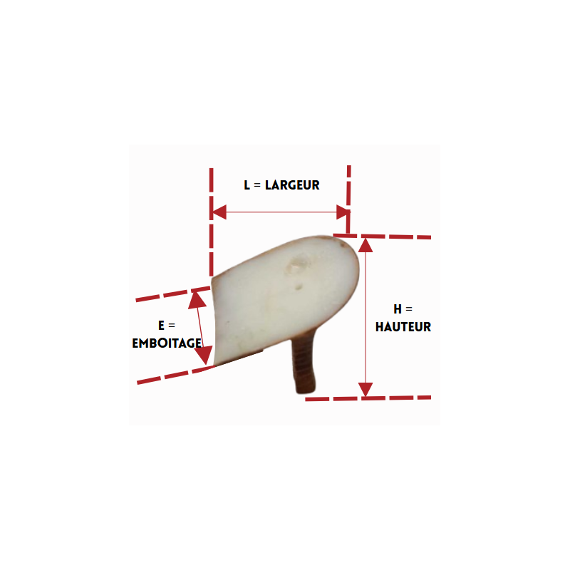 PAGES 122-126 TALONS/TAL602123-1.PNG