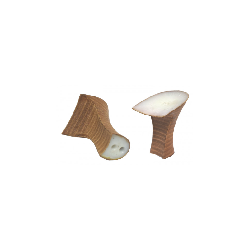 PAGES 122-126 TALONS/TAL602147.PNG