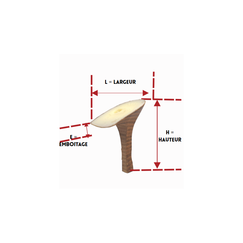 PAGES 122-126 TALONS/TAL654155-1.PNG