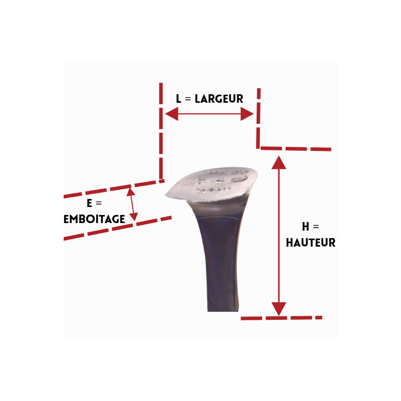 PAGES 122-126 TALONS/TAL804444-1.PNG