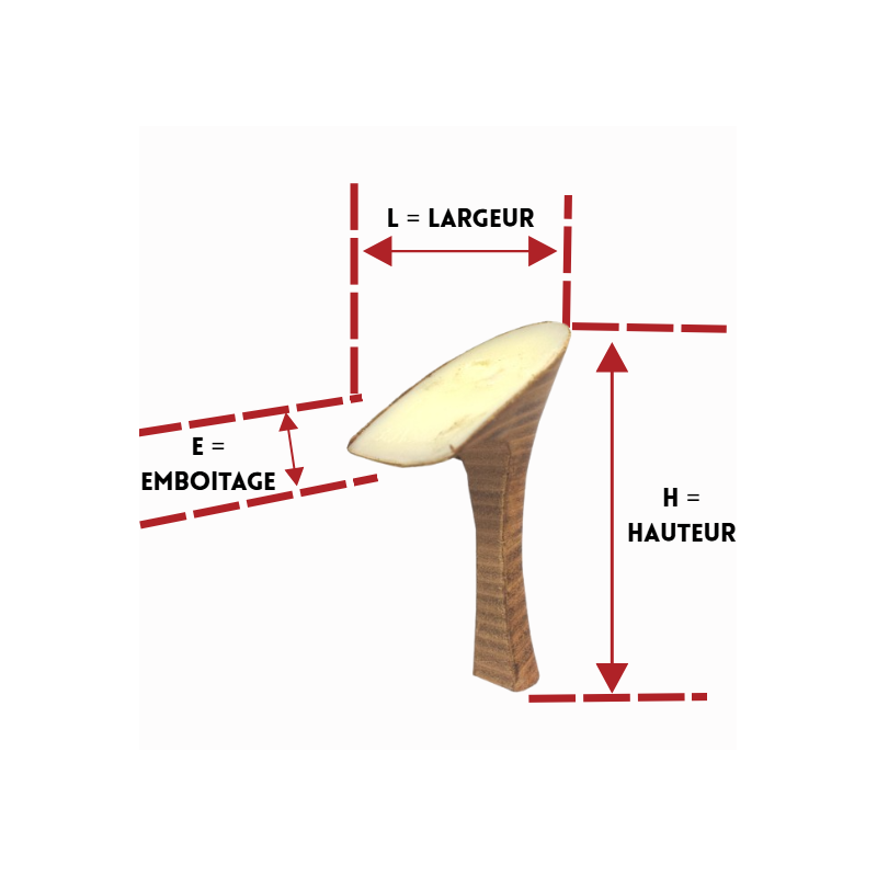 PAGES 122-126 TALONS/TAL805094-1.PNG