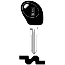 CLE TRANSP SANS PUCE AVEC BOUCHON CGT15RBT5-0