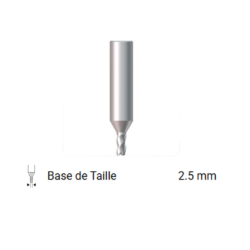 FRAISE POUR FUTURA 01L- D742606ZB