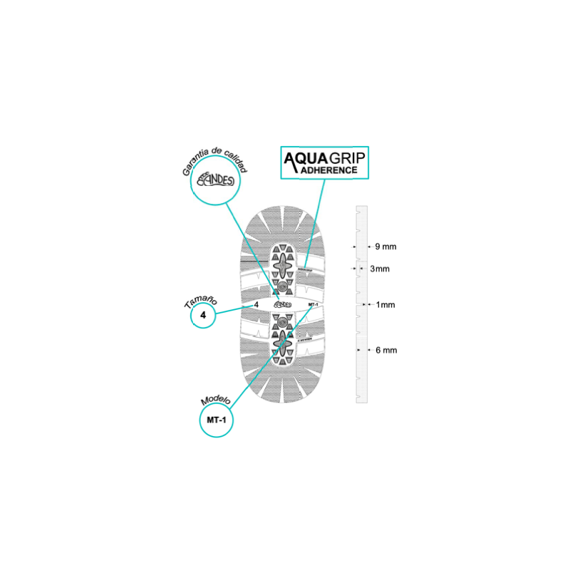 PAGES 16-43 ANDES/TALMT1B-1.png