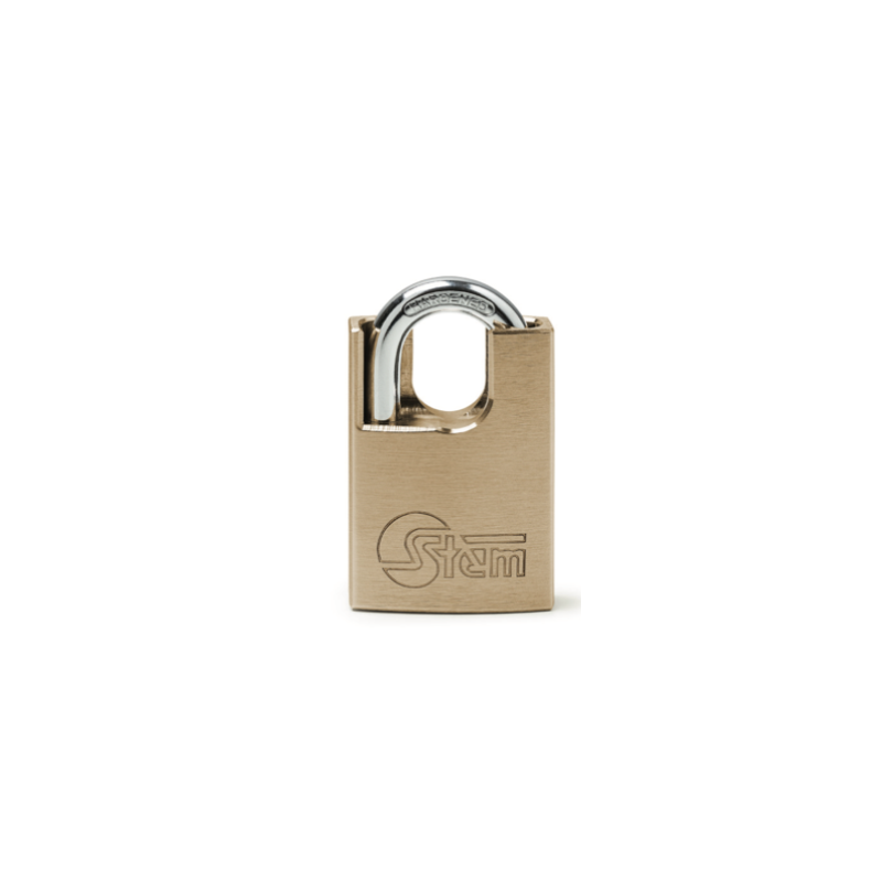 PAGES 172-178 CLES PILES CADENAS CYLINDRES VERROU MACHINES A CLES PLAQUES AUTO/CADABU65CS.png