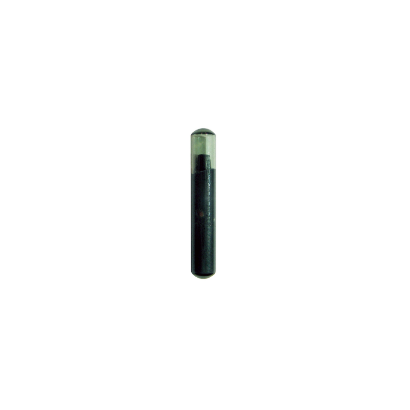 C03313-50.PNG
