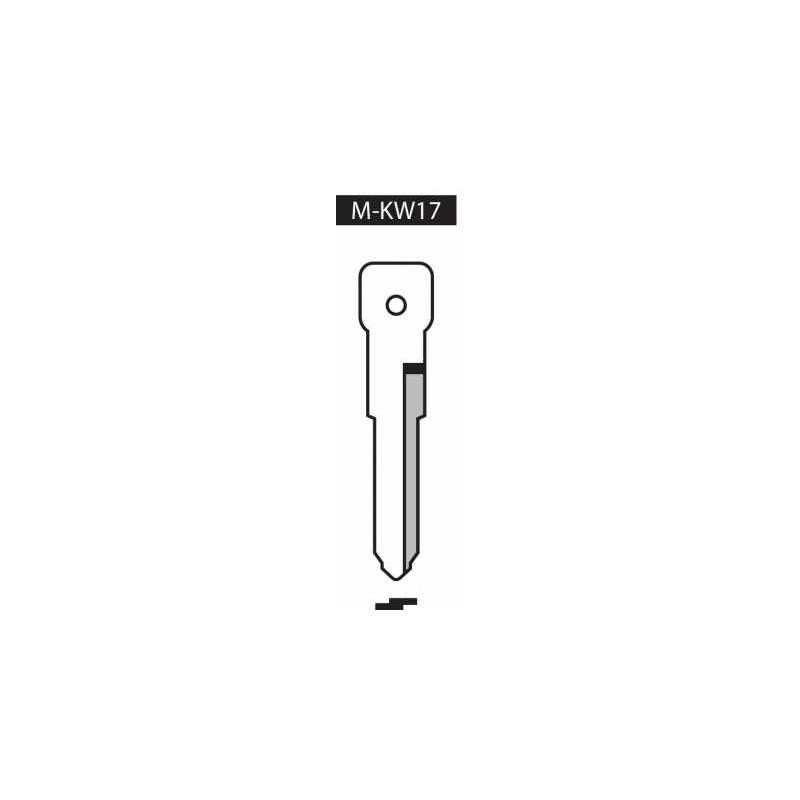 COQUES/COQLAMM-KW17.jpg