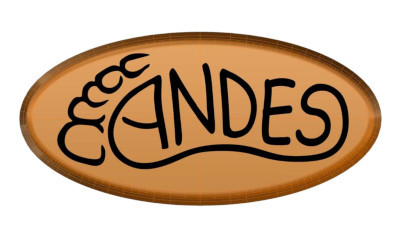 ANDES
